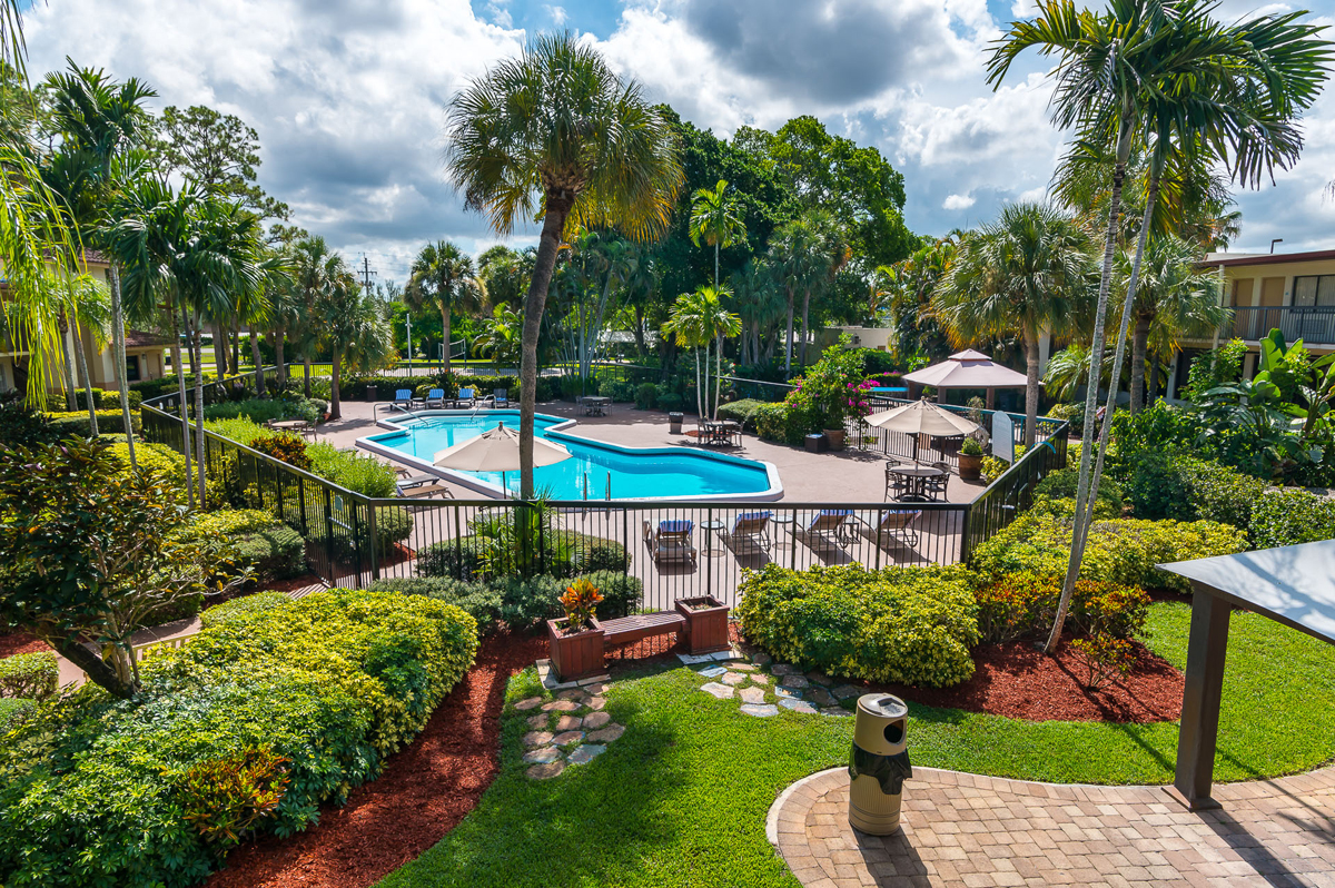 swimming pool and garden