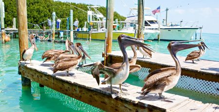 florida keys cocaine