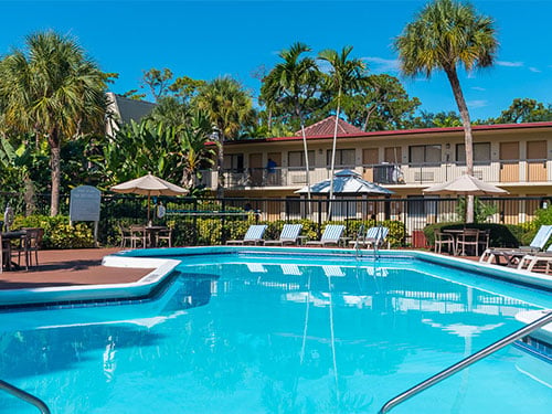 Outdoor swimming pool surrounded by lounge chairs and palm trees