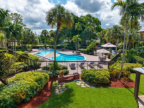 Outdoor swimming pool surrounded by tropical landscaping and seating areas