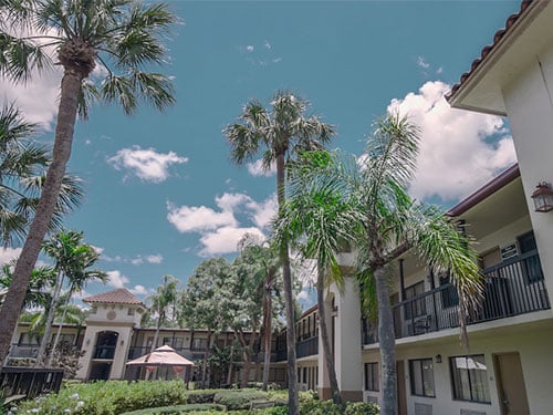 Palm-lined residential courtyard at the behavioral health treatment facility